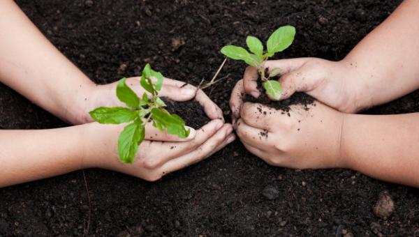 ECOLOGIA E GESTÃO AMBIENTAL