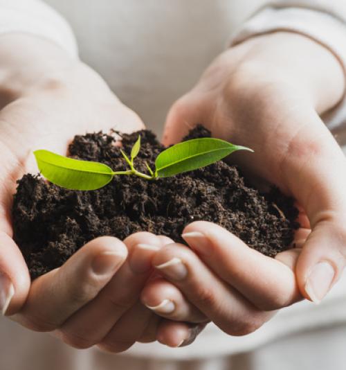 GESTÃO AMBIENTAL E DESENVOLVIMENTO SUSTENTÁVEL