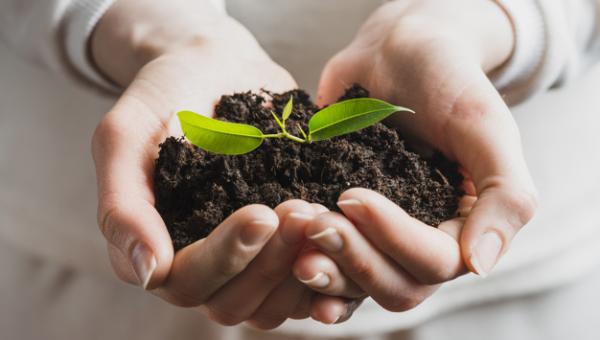 GESTÃO AMBIENTAL E DESENVOLVIMENTO SUSTENTÁVEL