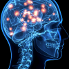 NEUROCIÊNCIA DAS EMOÇÕES APLICADA À REABILITAÇÃO