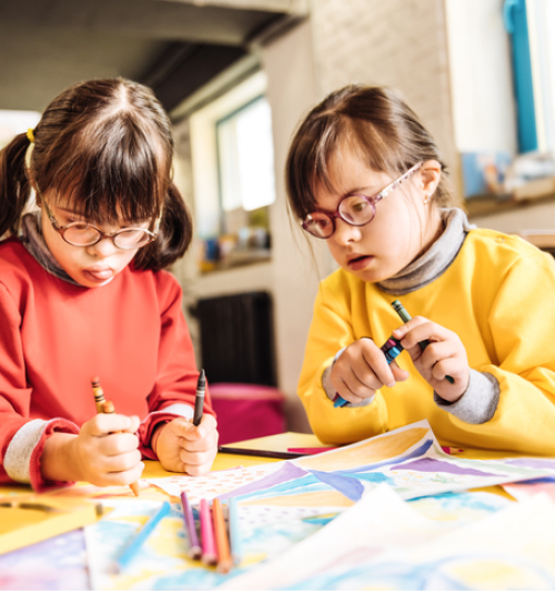 EDUCAÇÃO ESPECIAL E INCLUSIVA COM ÊNFASE EM DEFICIÊNCIA INTELECTUAL E MÚLTIPLA