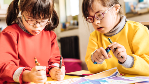 EDUCAÇÃO ESPECIAL E INCLUSIVA COM ÊNFASE EM DEFICIÊNCIA INTELECTUAL E MÚLTIPLA