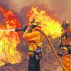 PREVENÇÃO E COMBATE A INCÊNDIOS FLORESTAIS