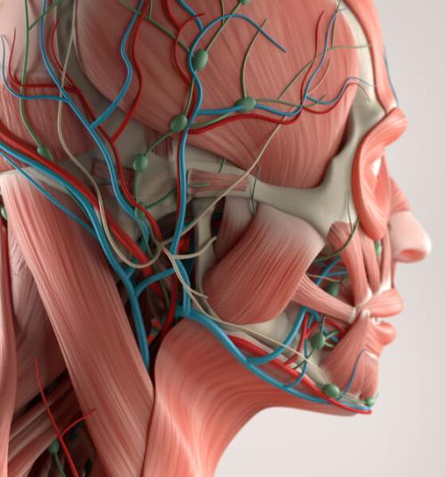 FISIOPATOLOGIA HUMANA