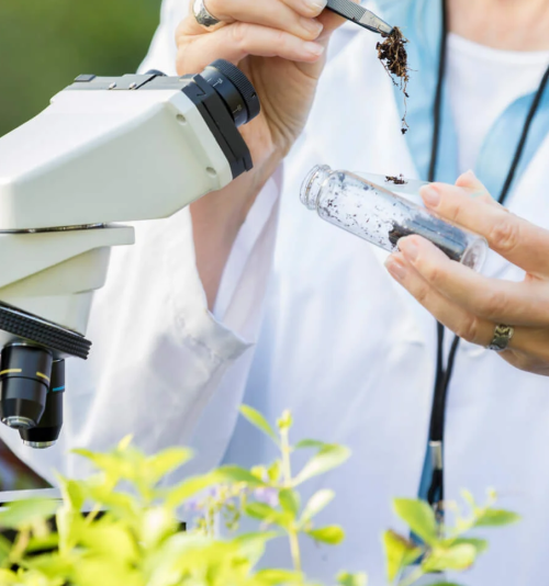 METODOLOGIA DO ENSINO DE BIOLOGIA E QUÍMICA