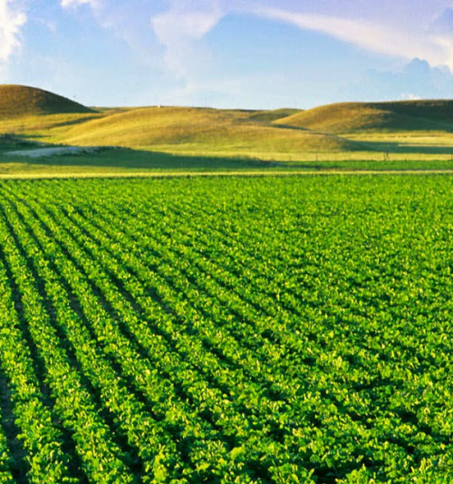 MBA EM AGRONEGÓCIOS